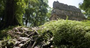 The citadel of Yaxchilan. Image: Alamy